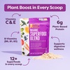 BetterBody Foods Organic Superfood Powder with Protein, Vitamins C, E, and B12 (12.7 oz.)(Organic Superfood Blend)
